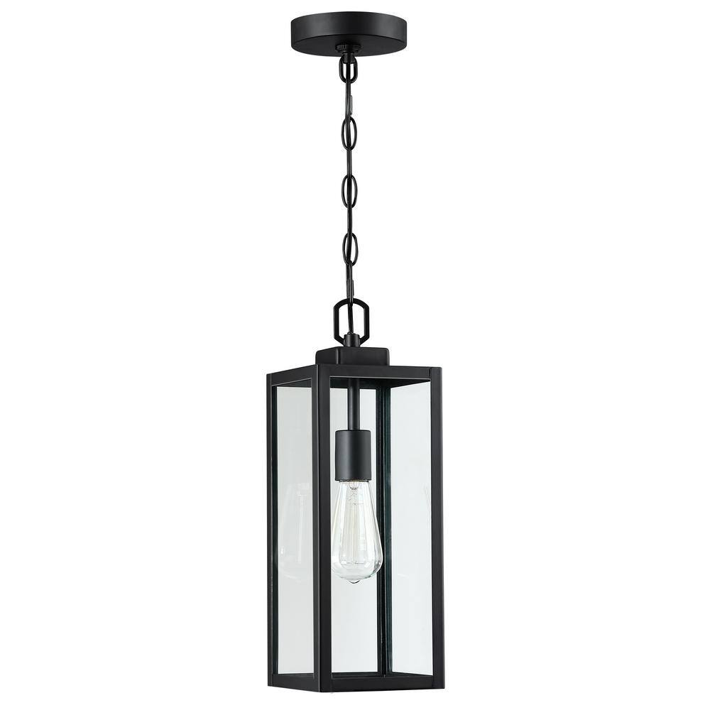 1-Light Matte Black Outdoor/Indoor Pendant Light with Clear Glass Shade