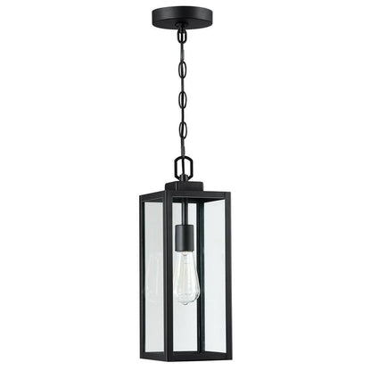 1-Light Matte Black Outdoor/Indoor Pendant Light with Clear Glass Shade