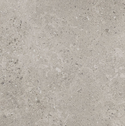 Dignitary Superior Taupe Rectangle 12X24 Matte