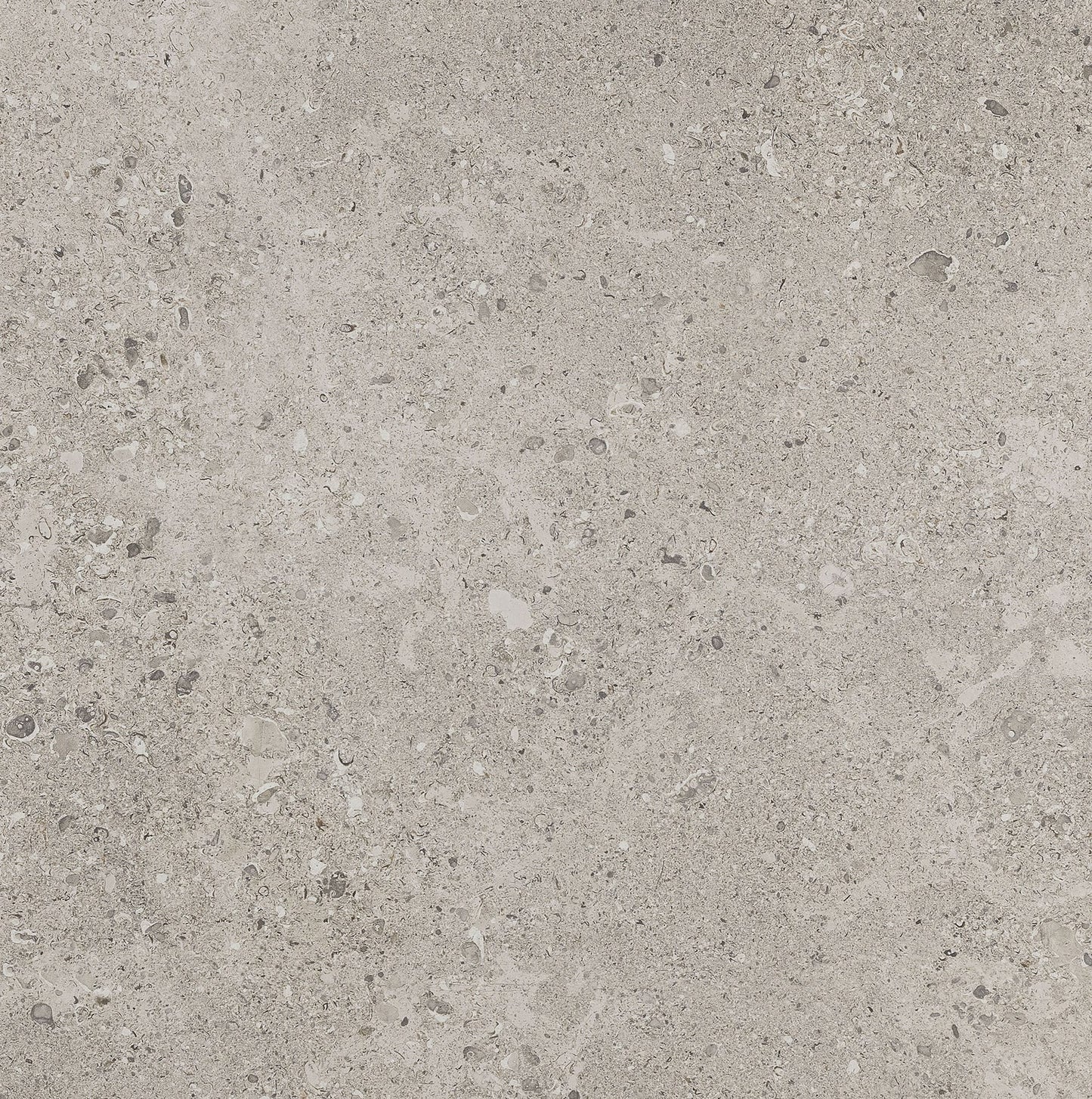 Dignitary Superior Taupe Rectangle 6X24 Matte
