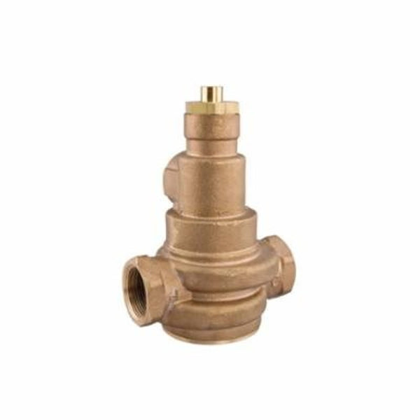 LFN170 Mixing Valve, 1 in, FNPT, Brass, Rough Brass