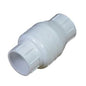 Swing Check Valve, 1 in, Socket, PVC
