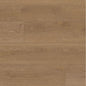 MONARCH LANCSTR 5M/12ML