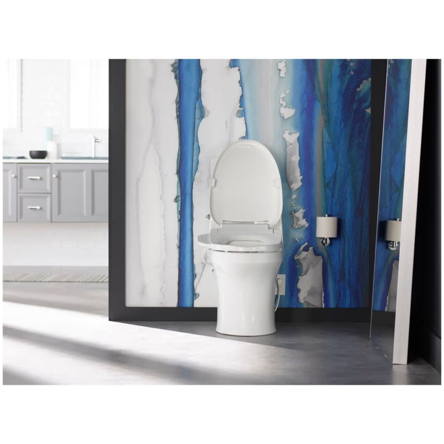 C3-155 Elongated Closed Bidet Seat