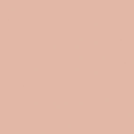 Color Story Wall Blush Rectangle 3X6 Glossy