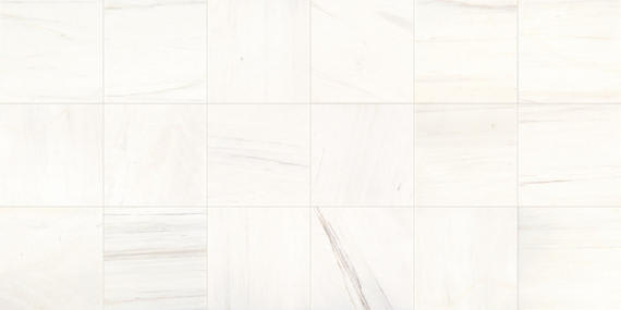 Marble Contempo White Rectangle 12X24 Polished