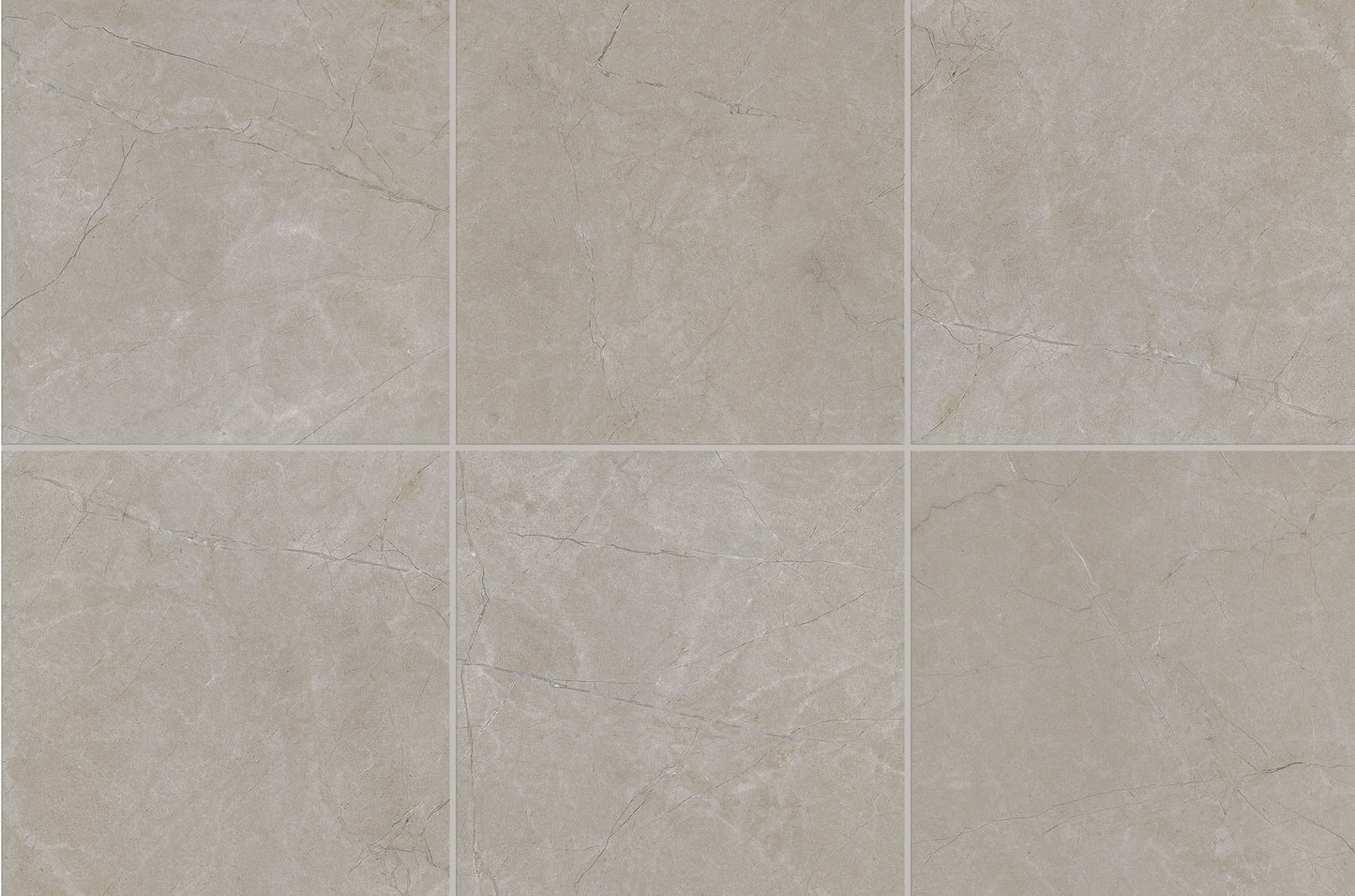 Classentino Marble Coliseum Gray Rectangle 24X48 Matte
