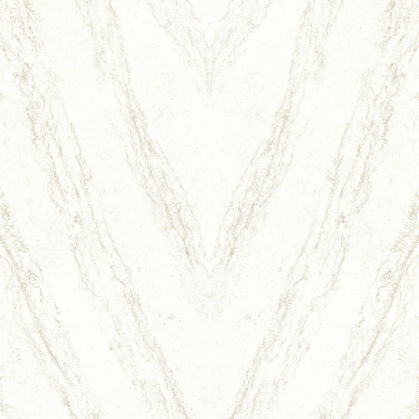 Cappucino
