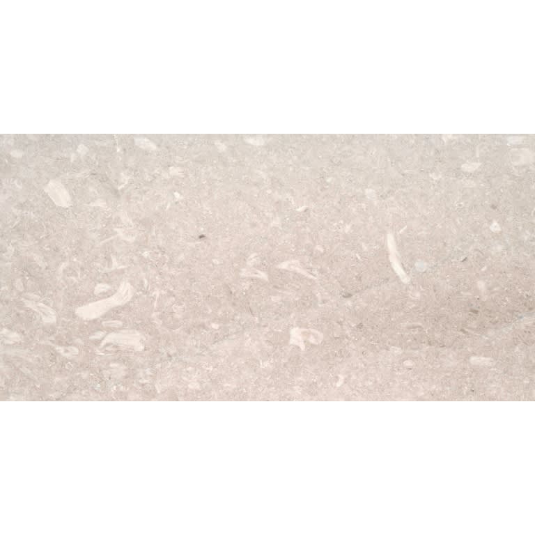 PRESIDIO IVORY HN 12X24
