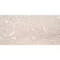 PRESIDIO IVORY HN 12X24