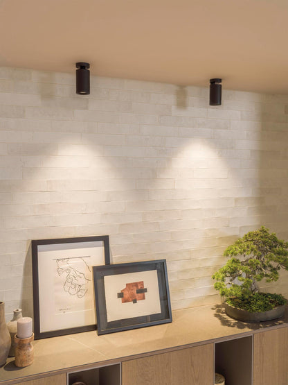 PARMA LIMESTONE