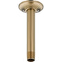 6" Ceiling Mounted Shower Arm and Shower Arm Flange