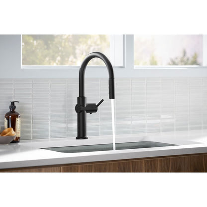 Crue 1.5 GPM Single Hole Pull Down Kitchen Faucet - Includes Escutcheon