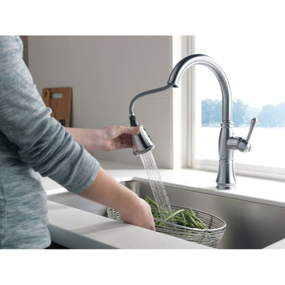 Cassidy Pull-Down Kitchen Faucet with Magnetic Docking Spray Head and ShieldSpray - Includes Lifetime Warranty