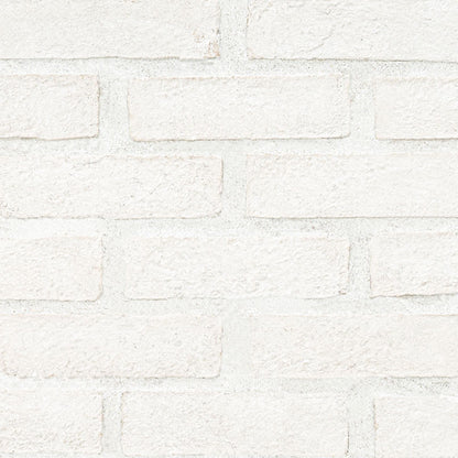 Alpine White Clay Brick 2..5