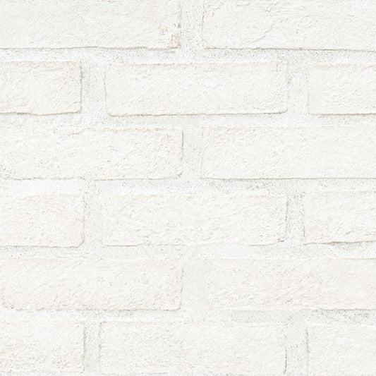 Alpine White Clay Brick 2..5