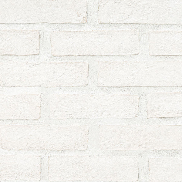 Alpine White Clay Brick 2..5