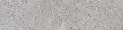 Dignitary Eminence Grey Rectangle 12X24 Matte