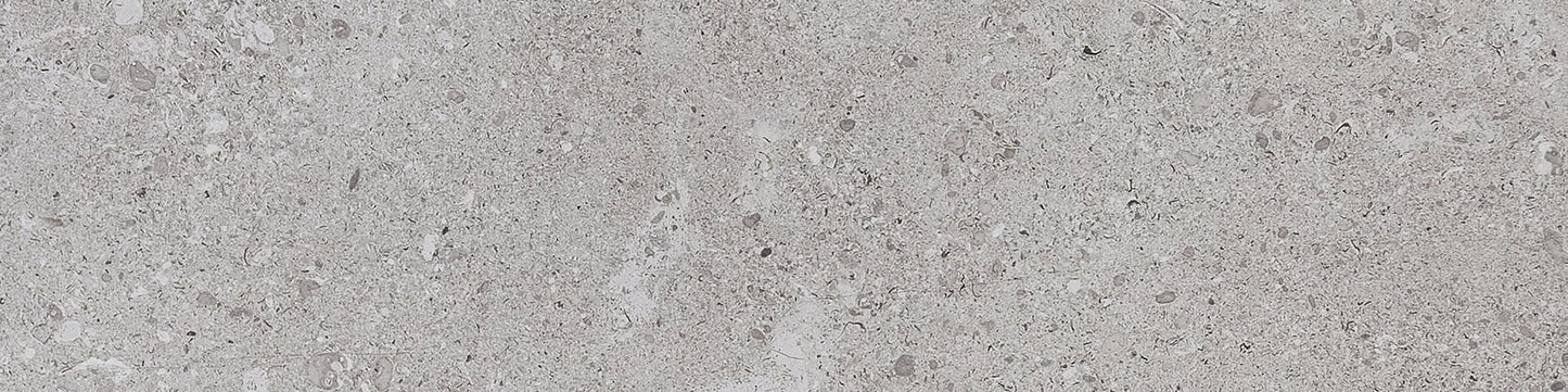 Dignitary Eminence Grey Rectangle 24X48 Matte