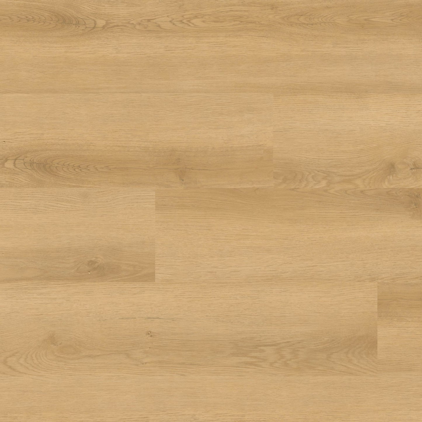 NOVE HYDE HAVEN 9X48