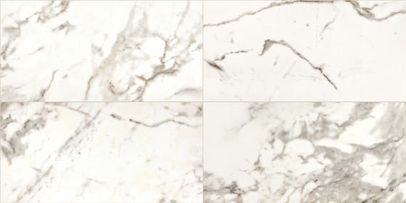 Marble Attache Calacatta Rectangle 24X48 Satin
