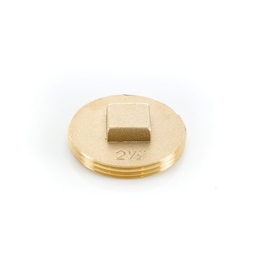 Raised Head Cleanout Plug, 2-1/2 in, Brass