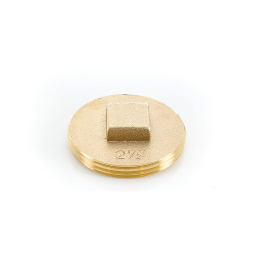 Raised Head Cleanout Plug, 2-1/2 in, Brass