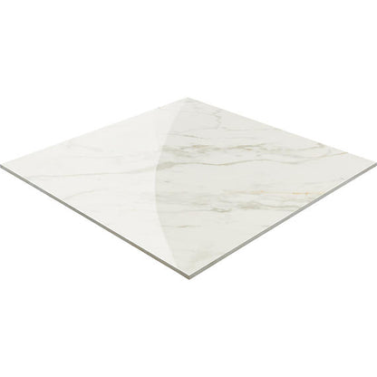 Panoramic Duet Diamond Mine Rectangle 24X48 Matte