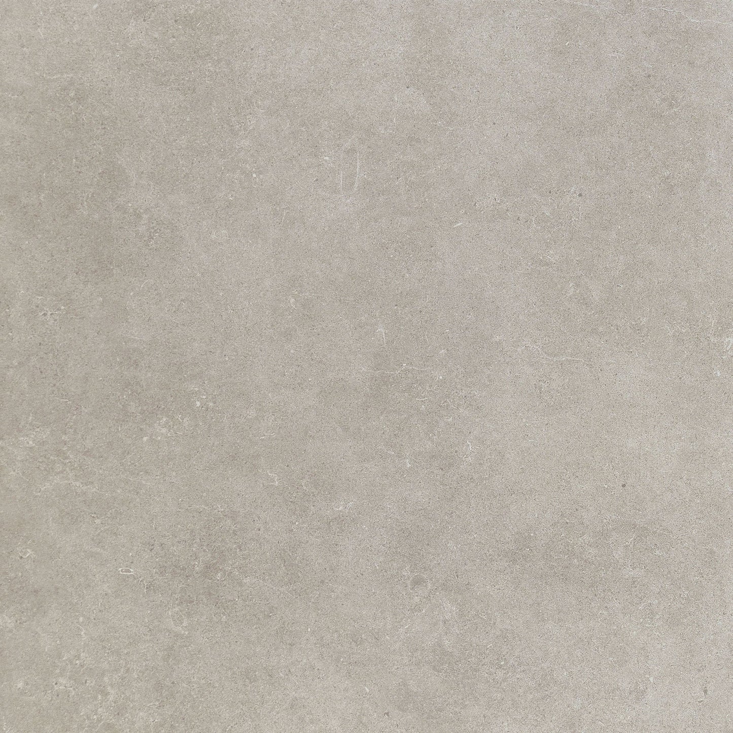 Haut Monde Elite Grey Rectangle 6X24 Matte