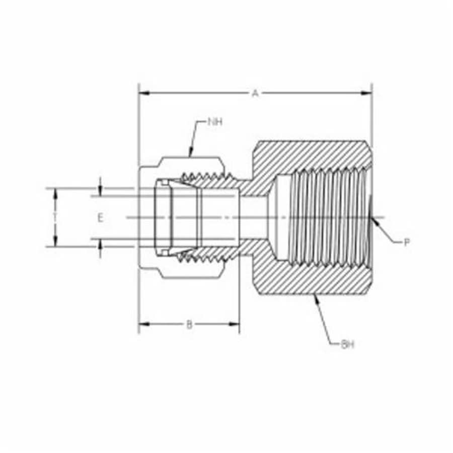Female Adapter, 3/8 x 1/4 in, Tube x FNPT, 316/316L Stainless Steel