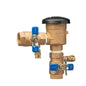 Vacuum Breaker, 1-1/2 in, FNPT, Bronze