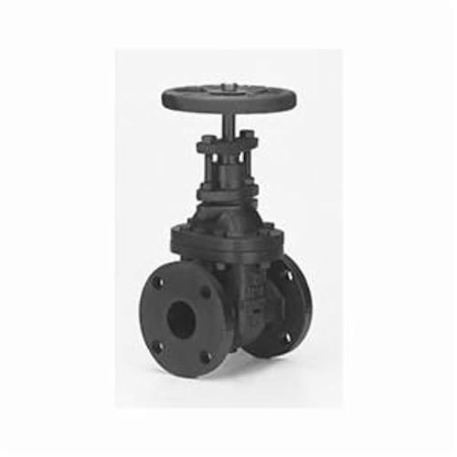2882A Non-Rising Stem Gate Valve, 2-1/2 in, Flange, Cast Iron