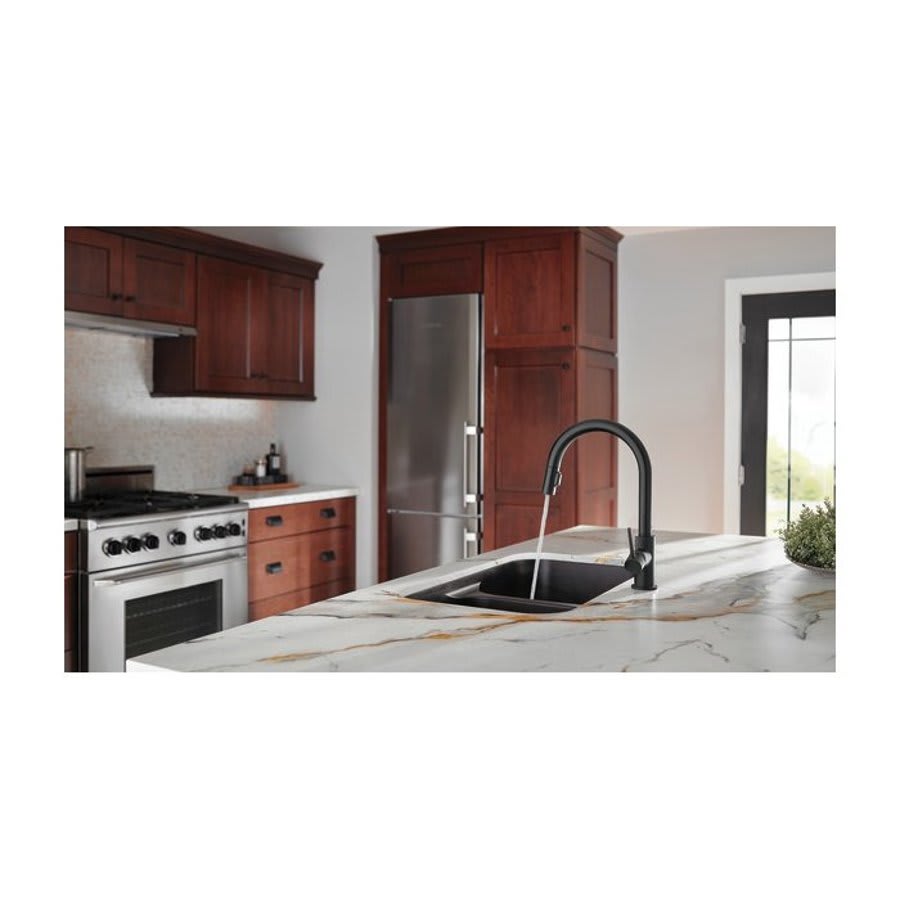 Trinsic® Kitchen Faucet, Deck Mount, ADA, 1 Lever Handle, 1-Hole, Matte Black
