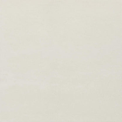 Theoretical Evolved Wishful White Rectangle 12X24 Textured
