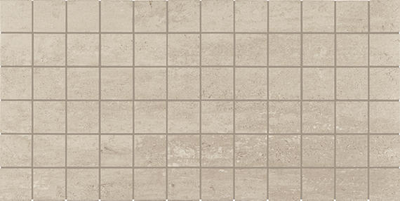 Theoretical Evolved Fundamental Gray Rectangle 12X24 Textured