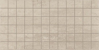 Theoretical Evolved Fundamental Gray Rectangle 12X24 Textured