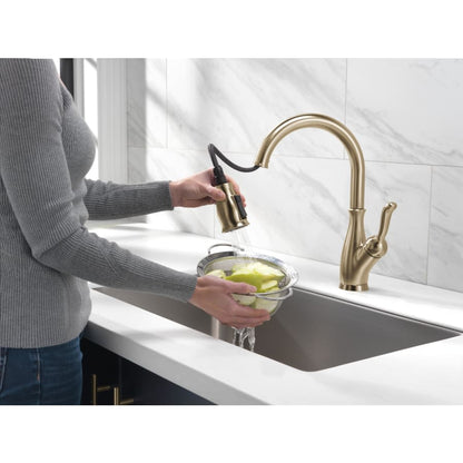 Leland Pull-Down Kitchen Faucet with Magnetic Docking Spray Head and ShieldSpray - Includes Lifetime Warranty