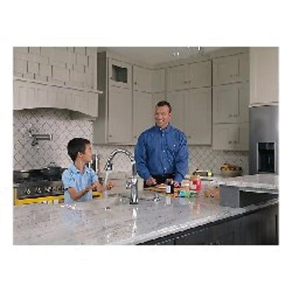 Pot Filler Faucet, Wall Mount, ADA, 2 Lever Handle, 1-Hole, Arctic Stainless