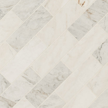 Arabescato Venato Tile