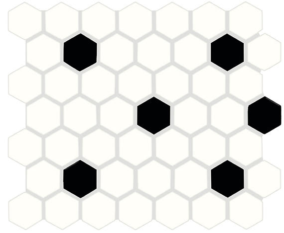 Color Wheel Mosaic Arctic White/Black Matte Hexagon 1.5X1.5 Matte