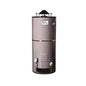 Atmospheric Commercial Gas Water Heater, 75 gal, Propane, 76 Kbtu/hr