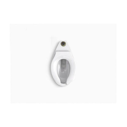 Wellcomme™ Ultra Toilet Bowl, Floor Mount, 10 or 12 in Rough, Elongated, Flushometer, White