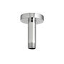 3" Ceiling Shower Arm with Flange