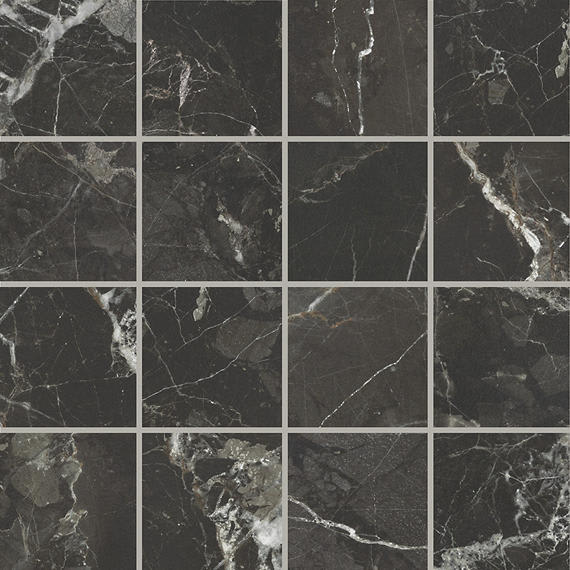 Savoir Noir Rectangle 24X48 Polished