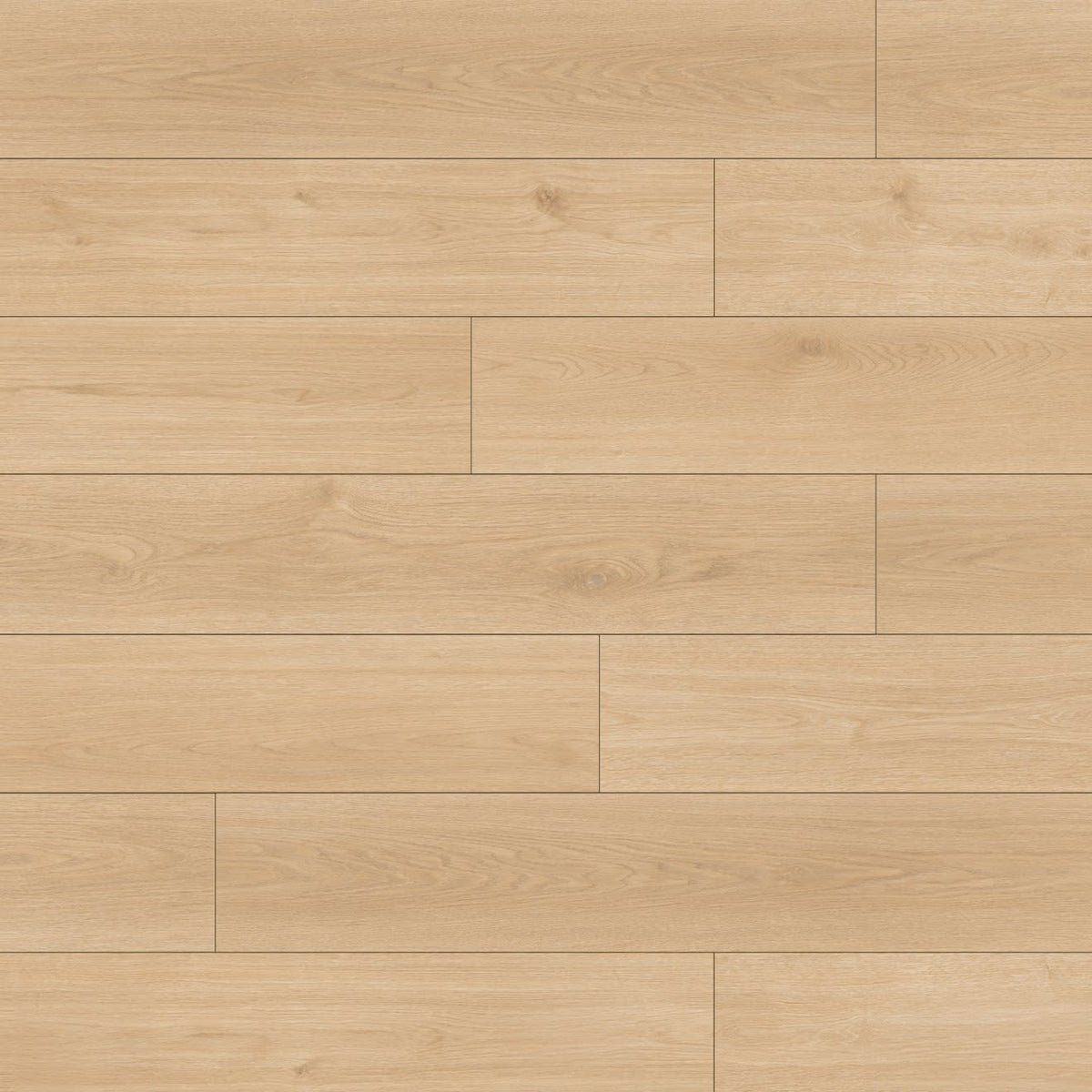La Jolla Soledad 9x60 Laminate Floor