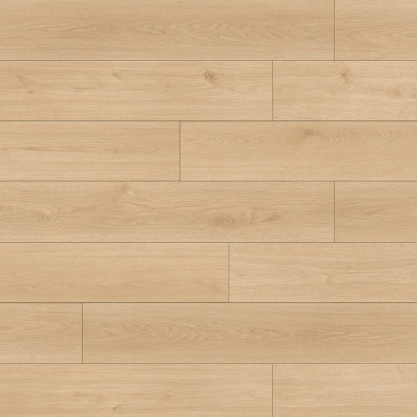 La Jolla Soledad 9x60 Laminate Floor
