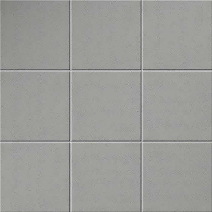 COSMOS S1 SILVER (Make to order)