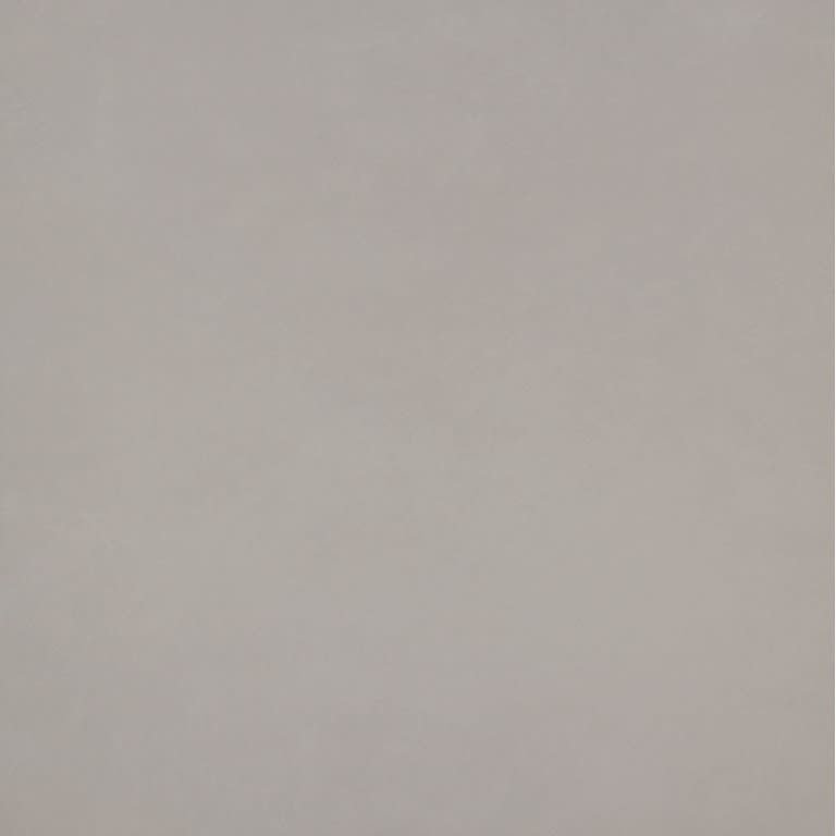 CITIZEN PUBLIC MT 24X24