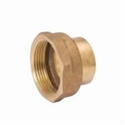 DWV Cleanout Adapter, 2 in, Fitting x FNPT, Copper