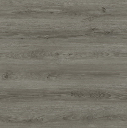 Ash Grey